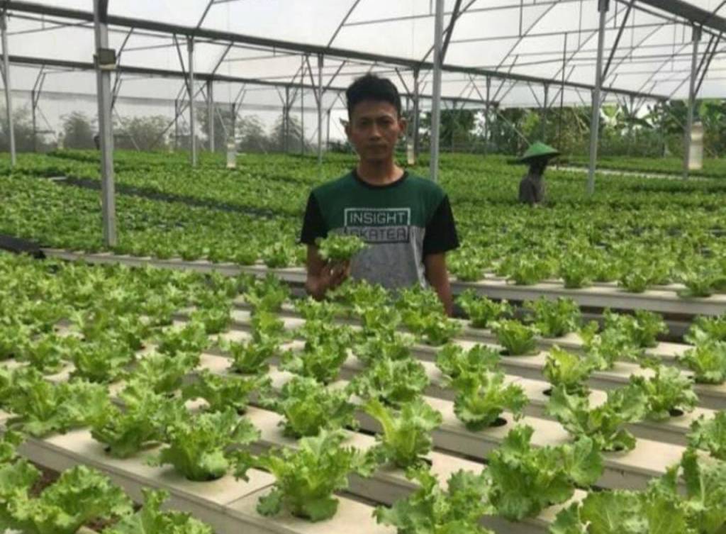 Ketua Gerbang Tani Demak Ungkap Tantangan Kemandirian Pangan Saat Ini