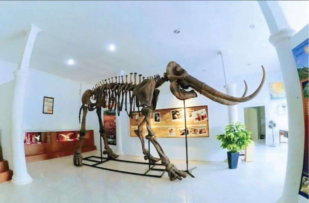 Sekilas Tentang Situs Purbakala Patiayam di Kudus 